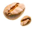 SVĚTLE PRAŽENÁ
