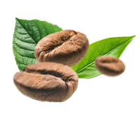 BIO - Varianta - zrnková