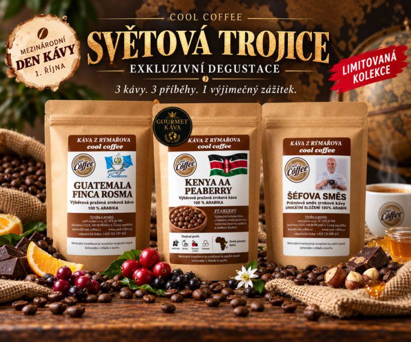 SVĚTOVÁ TROJICE