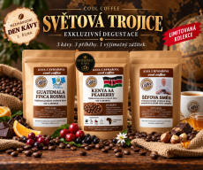 SVĚTOVÁ TROJICE
