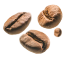 ARABIKA