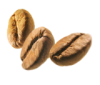 GOURMET KÁVA