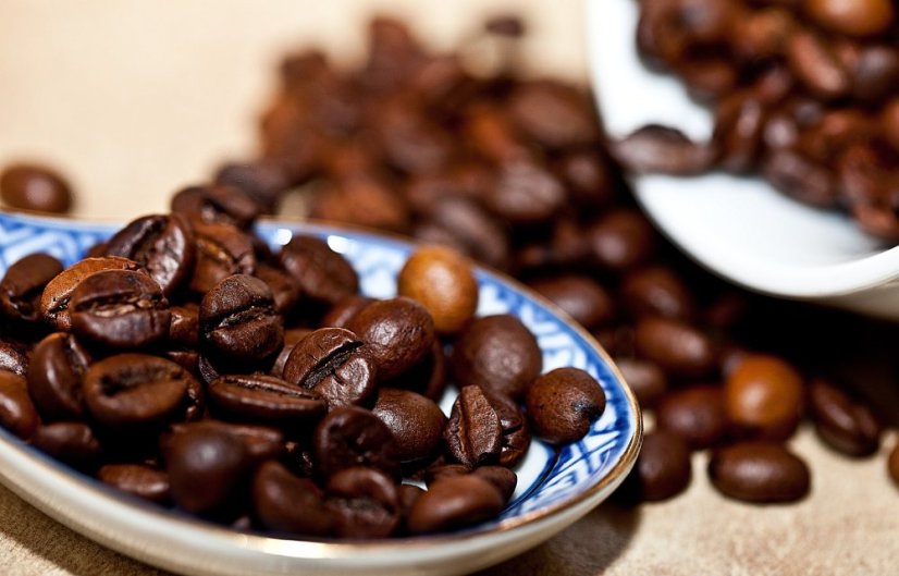 PANAMA DON PEPE - Hmotnost (g): 1000g