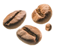 ARABIKA